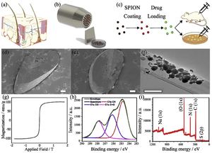 Multifunctional magnetic hairbot for untethered osteogenesis, ultrasound contrast imaging and drug delivery