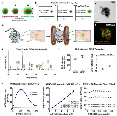 Injectable nanoelectrodes enable wireless deep brain stimulation of native tissue in freely moving mice