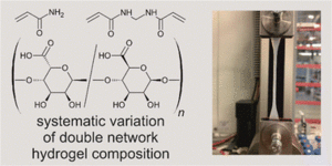 Unravelling parameter interactions in calcium alginate/polyacrylamide double network hydrogels using a design of experiments approach for the optimization of mechanical properties